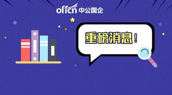 月薪3000-6000元加绩效，无笔试计算机软硬件开发岗位解析